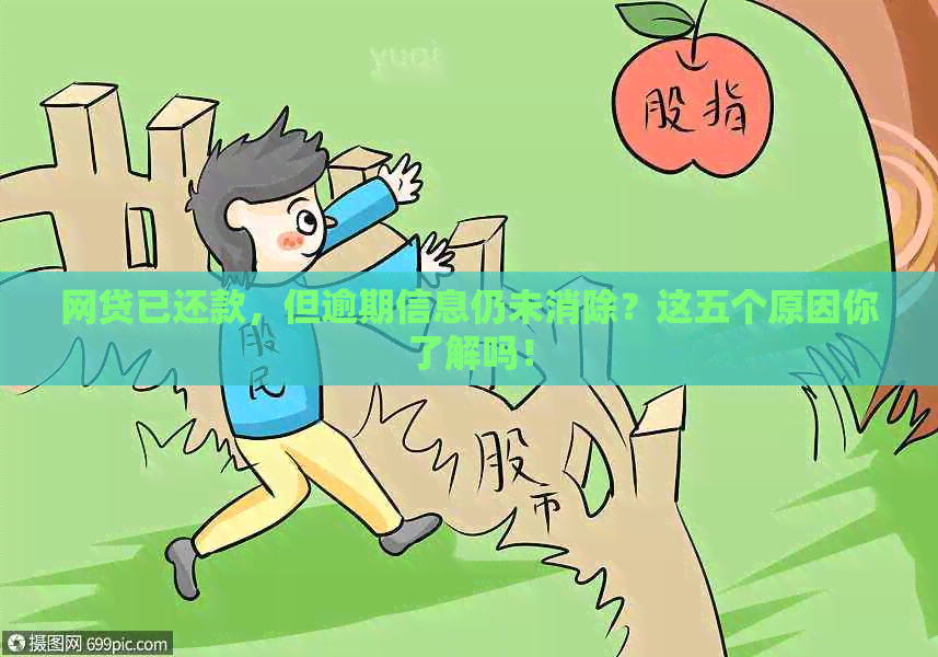 网贷已还款，但逾期信息仍未消除？这五个原因你了解吗！