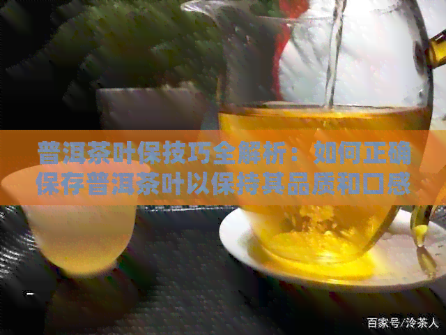 普洱茶叶保技巧全解析：如何正确保存普洱茶叶以保持其品质和口感？