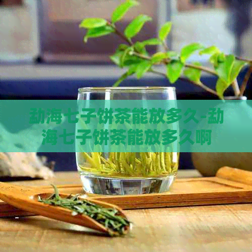 勐海七子饼茶能放多久-勐海七子饼茶能放多久啊