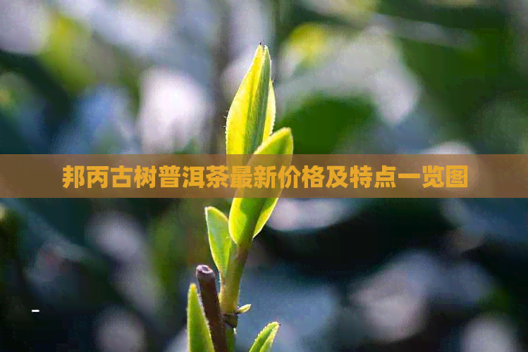 邦丙古树普洱茶最新价格及特点一览图