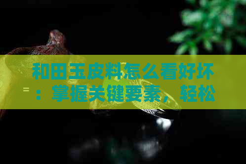 和田玉皮料怎么看好坏：掌握关键要素，轻松鉴别真伪与质量