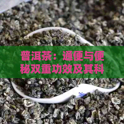 普洱茶：通便与便秘双重功效及其科学原理解析