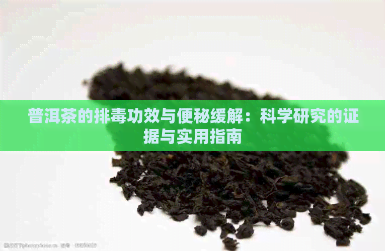 普洱茶的排功效与便秘缓解：科学研究的证据与实用指南