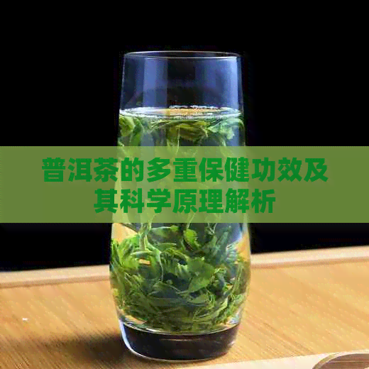 普洱茶的多重保健功效及其科学原理解析