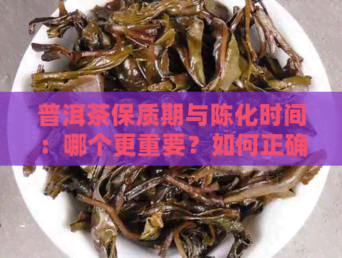 普洱茶保质期与陈化时间：哪个更重要？如何正确保存普洱茶？