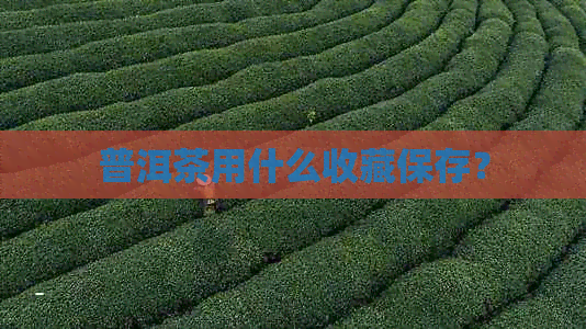 普洱茶用什么收藏保存？