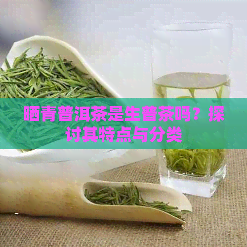 晒青普洱茶是生普茶吗？探讨其特点与分类