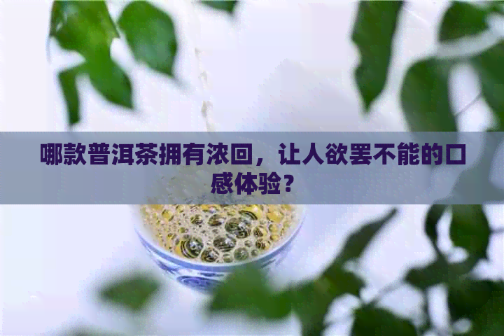 哪款普洱茶拥有浓回，让人欲罢不能的口感体验？