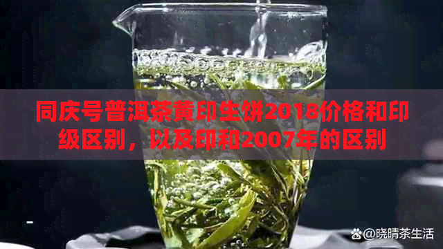 同庆号普洱茶黄印生饼2018价格和印级区别，以及印和2007年的区别