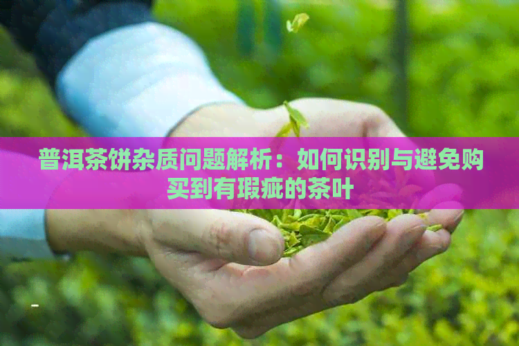 普洱茶饼杂质问题解析：如何识别与避免购买到有瑕疵的茶叶