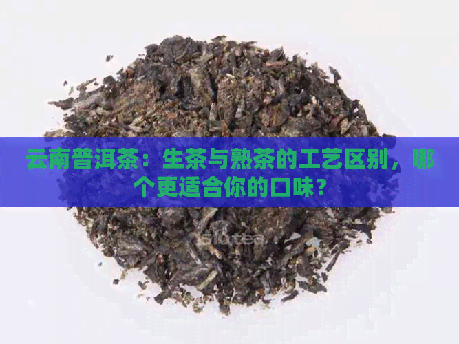 云南普洱茶：生茶与熟茶的工艺区别，哪个更适合你的口味？