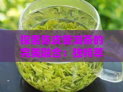 探索陈皮普洱茶的完美融合：独特萃取工艺与陈皮普洱茶制作心得