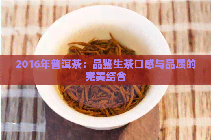 2016年普洱茶：品鉴生茶口感与品质的完美结合