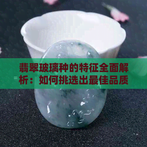 翡翠玻璃种的特征全面解析：如何挑选出更佳品质的翡翠？