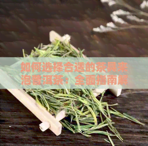 如何选择合适的茶具来泡普洱茶：全面指南解答您的疑问