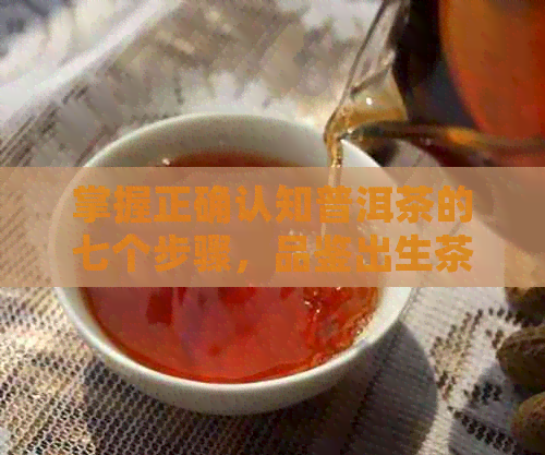 掌握正确认知普洱茶的七个步骤，品鉴出生茶与熟茶的差异