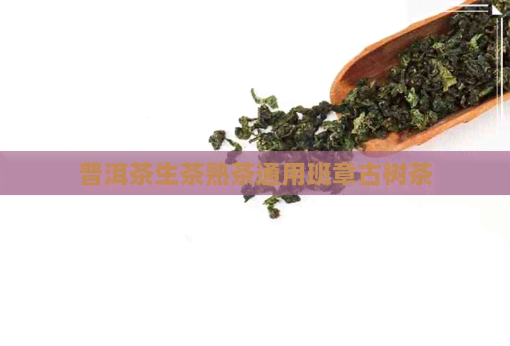 普洱茶生茶熟茶通用班章古树茶