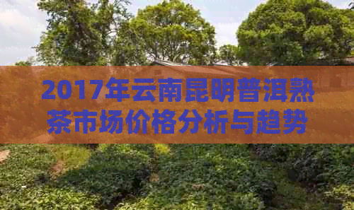 2017年云南昆明普洱熟茶市场价格分析与趋势探讨