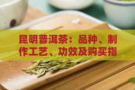 昆明普洱茶：品种、制作工艺、功效及购买指南的全面解析