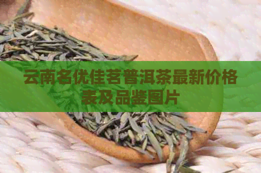 云南名优佳茗普洱茶最新价格表及品鉴图片