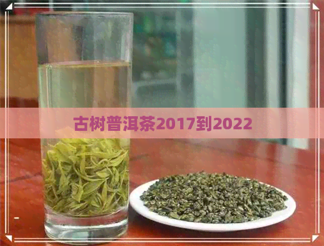 古树普洱茶2017到2022