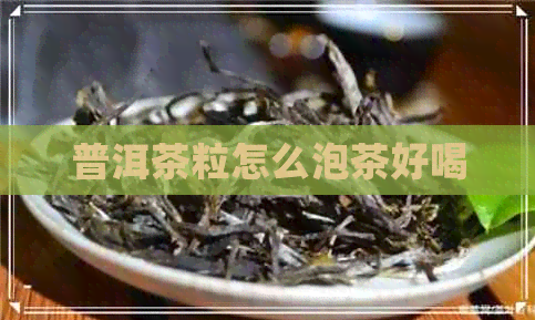 普洱茶粒怎么泡茶好喝