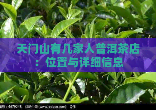 天门山有几家人普洱茶店：位置与详细信息