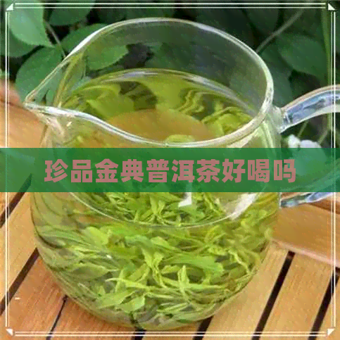 珍品金典普洱茶好喝吗