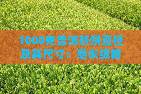 1000克普洱茶饼直径及其尺寸：毫米级精确数据与相关对比