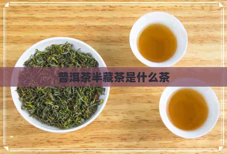 普洱茶半藏茶是什么茶