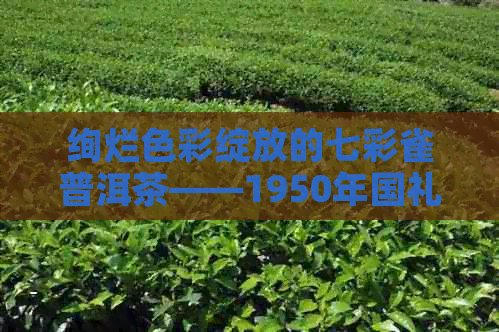 绚烂色彩绽放的七彩雀普洱茶——1950年国礼熟茶的独特魅力