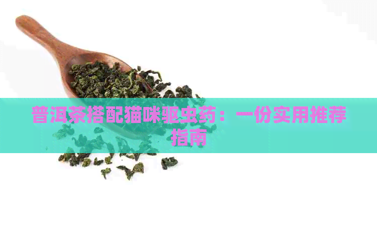 普洱茶搭配猫咪驱虫药：一份实用推荐指南