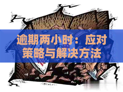 逾期两小时：应对策略与解决方法