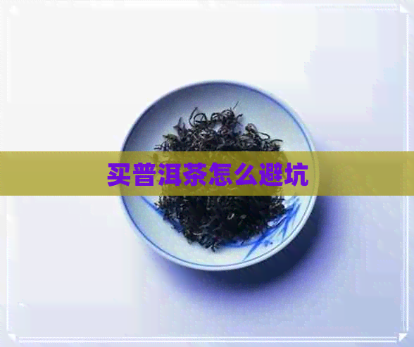 买普洱茶怎么避坑