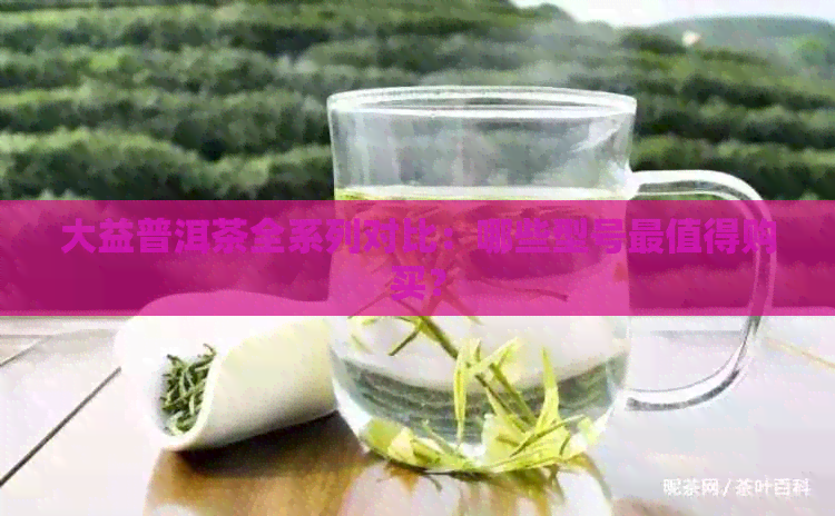 大益普洱茶全系列对比：哪些型号最值得购买？