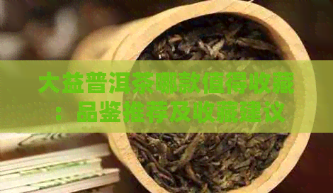 大益普洱茶哪款值得收藏：品鉴推荐及收藏建议