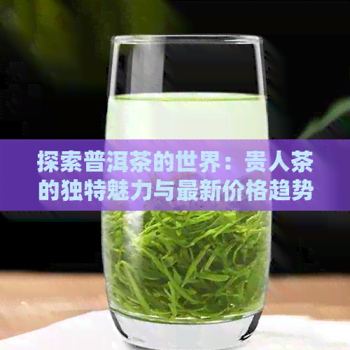 探索普洱茶的世界：贵人茶的独特魅力与最新价格趋势