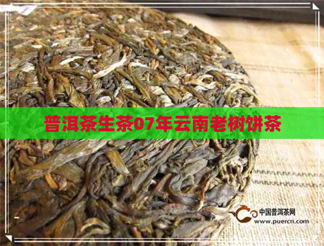 普洱茶生茶07年云南老树饼茶