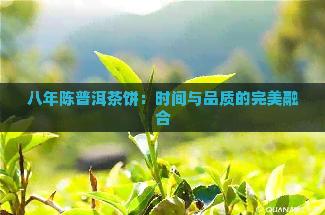 八年陈普洱茶饼：时间与品质的完美融合