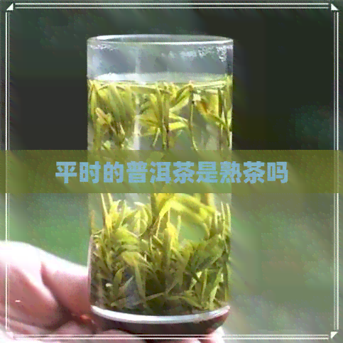 平时的普洱茶是熟茶吗