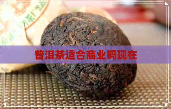 普洱茶适合商业吗现在