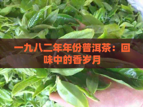 一九八二年年份普洱茶：回味中的香岁月