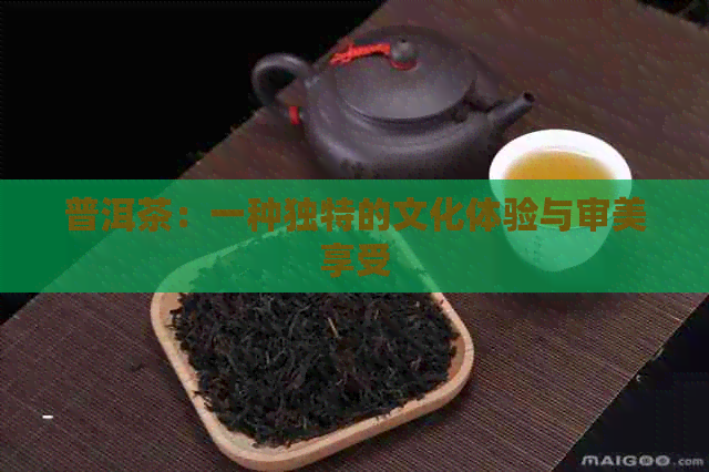 普洱茶：一种独特的文化体验与审美享受