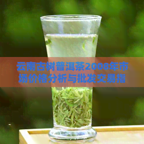 云南古树普洱茶2008年市场价格分析与批发交易指南