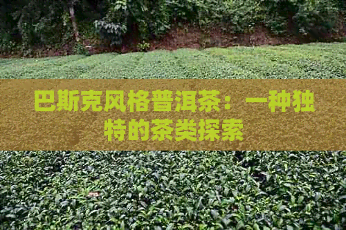 巴斯克风格普洱茶：一种独特的茶类探索