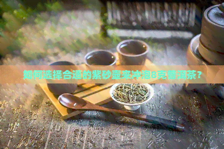 如何选择合适的紫砂壶来冲泡8克普洱茶？