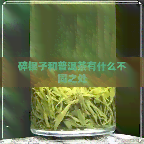 碎银子和普洱茶有什么不同之处