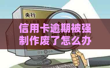 信用卡逾期被强制作废了怎么办？重新办理指南