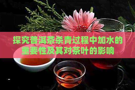 探究普洱茶杀青过程中加水的重要性及其对茶叶的影响