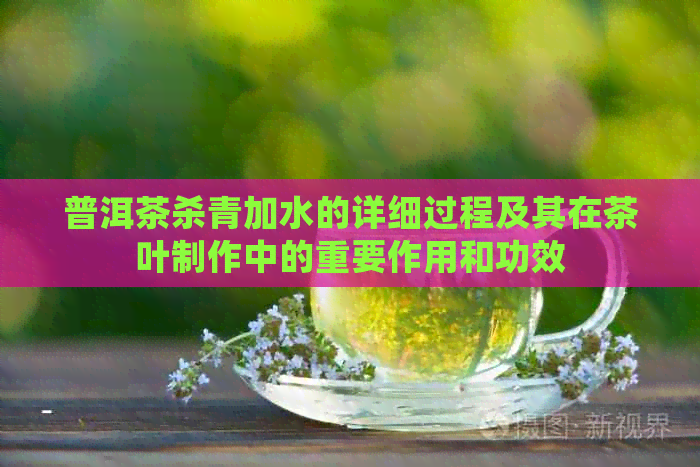 普洱茶杀青加水的详细过程及其在茶叶制作中的重要作用和功效